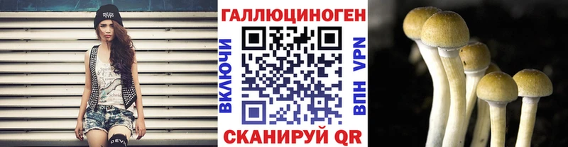 Галлюциногенные грибы Psilocybe  Купить  Злынка 